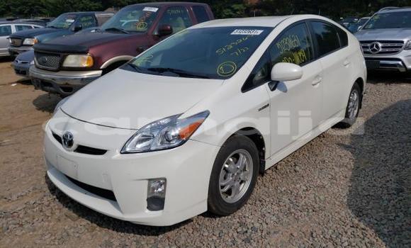 Acheter Neuf Voiture Toyota Prius Blanc à Badagry, État de Lagos Acheter Neuf Voiture Toyota Prius Blanc à Badagry, État de Lagos
