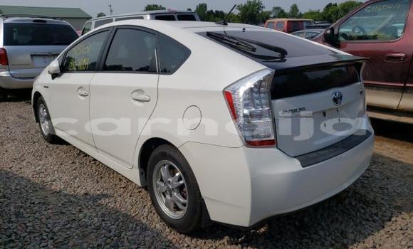 Acheter Neuf Voiture Toyota Prius Blanc à Badagry, État de Lagos Acheter Neuf Voiture Toyota Prius Blanc à Badagry, État de Lagos