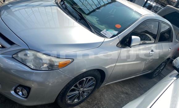 Acheter Import Voiture Toyota Corolla Gris à Ipokia, État d'Ogun Acheter Import Voiture Toyota Corolla Gris à Ipokia, État d'Ogun