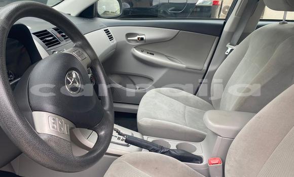 Acheter Import Voiture Toyota Corolla Autre à Ipokia, État d'Ogun Acheter Import Voiture Toyota Corolla Autre à Ipokia, État d'Ogun