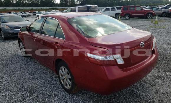 Buy New Toyota Camry Red Car in Badagry in Lagos State Buy New Toyota Camry Red Car in Badagry in Lagos State