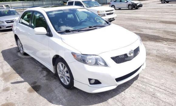 Buy New Toyota Corolla White Car in Badagry in Lagos State