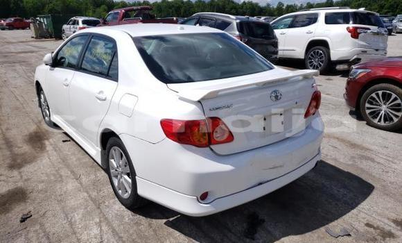 Buy New Toyota Corolla White Car in Badagry in Lagos State Buy New Toyota Corolla White Car in Badagry in Lagos State