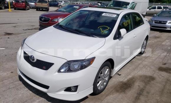Buy New Toyota Corolla White Car in Badagry in Lagos State Buy New Toyota Corolla White Car in Badagry in Lagos State