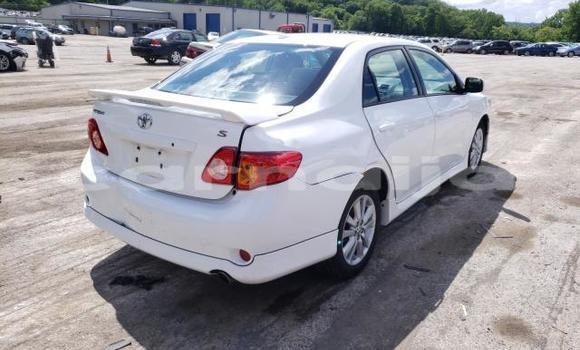 Buy New Toyota Corolla White Car in Badagry in Lagos State Buy New Toyota Corolla White Car in Badagry in Lagos State