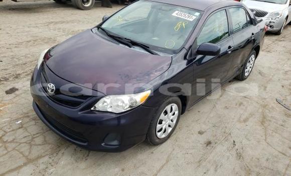 Buy New Toyota Corolla Black Car in Badagry in Lagos State Buy New Toyota Corolla Black Car in Badagry in Lagos State