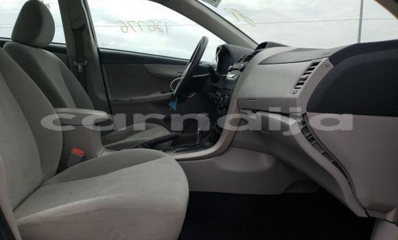 Buy New Toyota Corolla Black Car in Badagry in Lagos State Buy New Toyota Corolla Black Car in Badagry in Lagos State