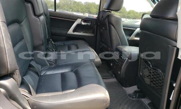 Buy New Toyota FJ Cruiser Black Car in Badagry in Lagos State Buy New Toyota FJ Cruiser Black Car in Badagry in Lagos State