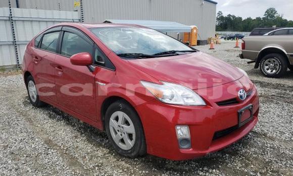 Buy New Toyota Prius Red Car in Badagry in Lagos State