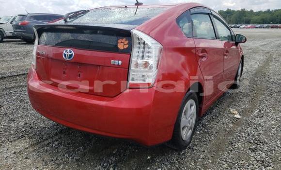 Acheter Neuf Voiture Toyota Prius Rouge à Badagry, État de Lagos Acheter Neuf Voiture Toyota Prius Rouge à Badagry, État de Lagos