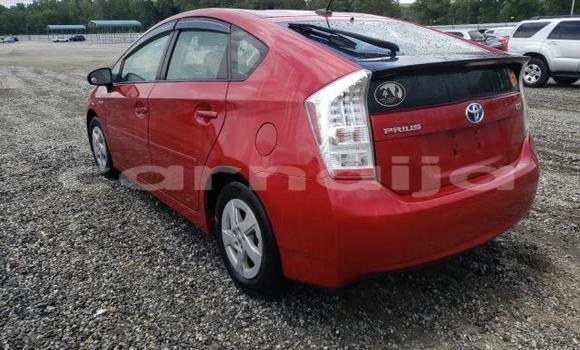 Acheter Neuf Voiture Toyota Prius Rouge à Badagry, État de Lagos Acheter Neuf Voiture Toyota Prius Rouge à Badagry, État de Lagos