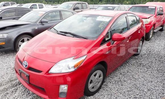 Acheter Neuf Voiture Toyota Prius Rouge à Badagry, État de Lagos Acheter Neuf Voiture Toyota Prius Rouge à Badagry, État de Lagos