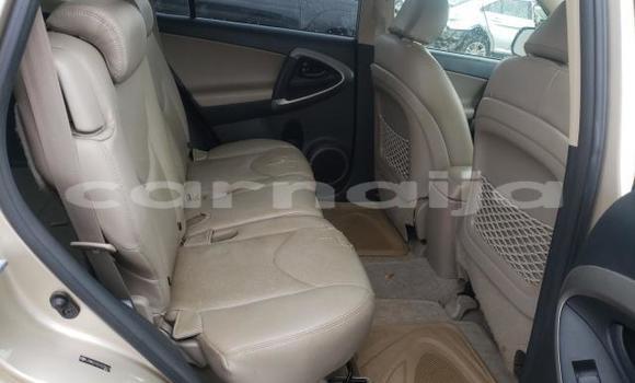 Buy New Toyota RAV4 Brown Car in Badagry in Lagos State Buy New Toyota RAV4 Brown Car in Badagry in Lagos State