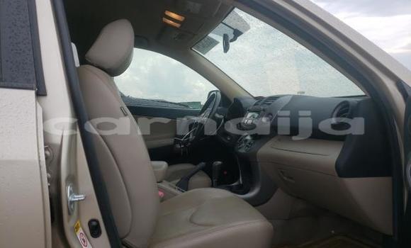 Buy New Toyota RAV4 Brown Car in Badagry in Lagos State Buy New Toyota RAV4 Brown Car in Badagry in Lagos State