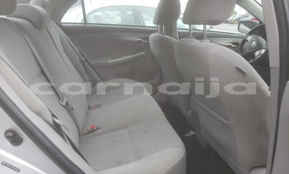 Buy Used Toyota Corolla Silver Car in Asaba in Delta State Buy Used Toyota Corolla Silver Car in Asaba in Delta State