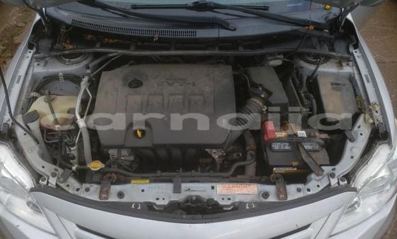 Buy Used Toyota Corolla Silver Car in Asaba in Delta State Buy Used Toyota Corolla Silver Car in Asaba in Delta State