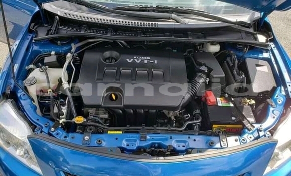 Acheter Occasion Voiture Toyota Corolla Bleu à Awka, État d'Anambra