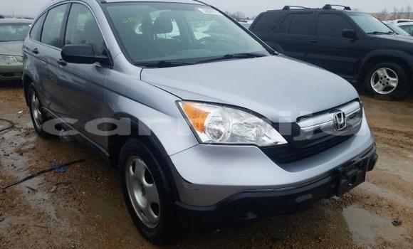 Buy Used Honda CR–V Other Car in Ibadan in Oyo State Buy Used Honda CR–V Other Car in Ibadan in Oyo State