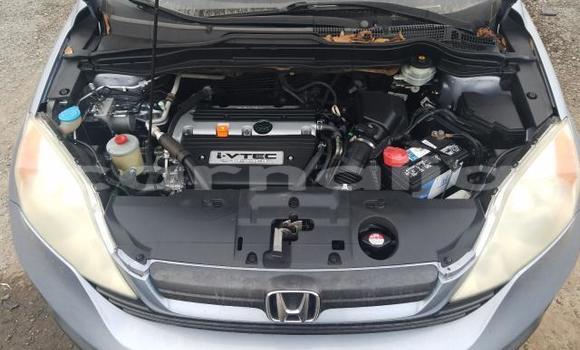 Buy Used Honda CR–V Other Car in Ibadan in Oyo State Buy Used Honda CR–V Other Car in Ibadan in Oyo State