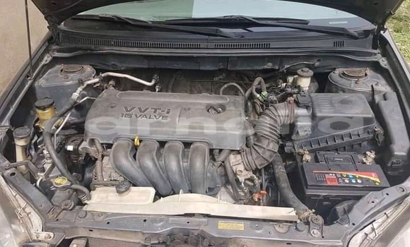 Buy Used Toyota Corolla Other Car in Nsukka in Enugu