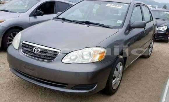 Acheter Occasion Voiture Toyota Corolla Autre à Nsukka, Enugu Acheter Occasion Voiture Toyota Corolla Autre à Nsukka, Enugu