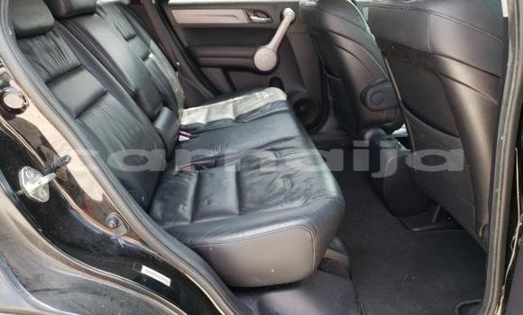 Buy Used Honda CR–V Black Car in Badagry in Lagos State Buy Used Honda CR–V Black Car in Badagry in Lagos State
