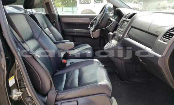 Buy Used Honda CR–V Black Car in Badagry in Lagos State Buy Used Honda CR–V Black Car in Badagry in Lagos State