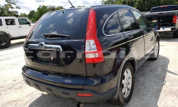 Buy Used Honda CR–V Black Car in Badagry in Lagos State Buy Used Honda CR–V Black Car in Badagry in Lagos State