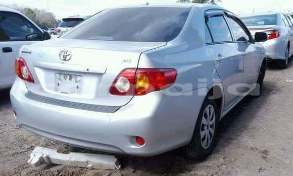 Buy Used Toyota Corolla Silver Car in Lagos in Lagos State Buy Used Toyota Corolla Silver Car in Lagos in Lagos State