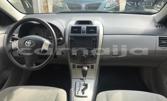Buy Used Toyota Corolla Black Car in Lagos in Lagos State Buy Used Toyota Corolla Black Car in Lagos in Lagos State