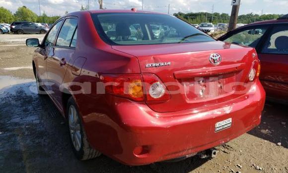 Acheter Occasion Voiture Toyota Corolla Autre à Lagos, État de Lagos Acheter Occasion Voiture Toyota Corolla Autre à Lagos, État de Lagos