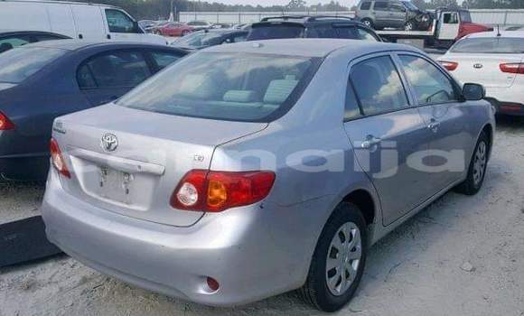 Acheter Occasion Voiture Toyota Corolla Noir à Enugu Ukwu, Anambra Acheter Occasion Voiture Toyota Corolla Noir à Enugu Ukwu, Anambra