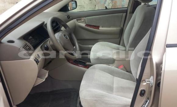 Acheter Import Voiture Toyota Corolla Autre à Abaji, Territoire de la capitale fédérale Acheter Import Voiture Toyota Corolla Autre à Abaji, Territoire de la capitale fédérale