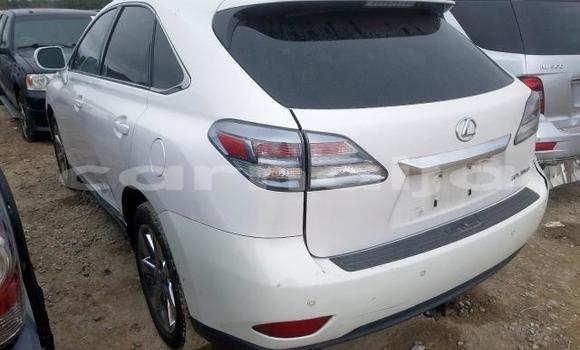 Acheter Import Voiture Lexus RX 350 Blanc à Ikorodu, État de Lagos Acheter Import Voiture Lexus RX 350 Blanc à Ikorodu, État de Lagos