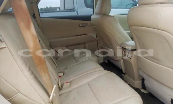 Acheter Import Voiture Lexus RX 350 Blanc à Ikorodu, État de Lagos Acheter Import Voiture Lexus RX 350 Blanc à Ikorodu, État de Lagos