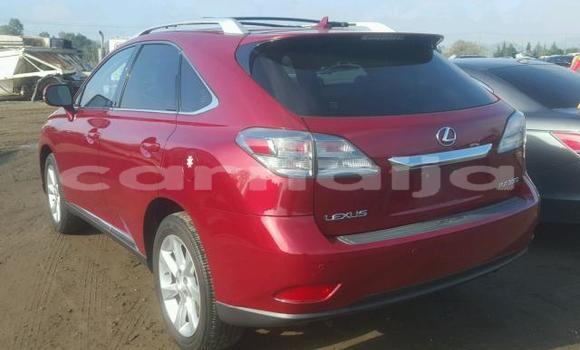 Acheter Import Voiture Lexus RX 350 Rouge à Ikorodu, État de Lagos Acheter Import Voiture Lexus RX 350 Rouge à Ikorodu, État de Lagos