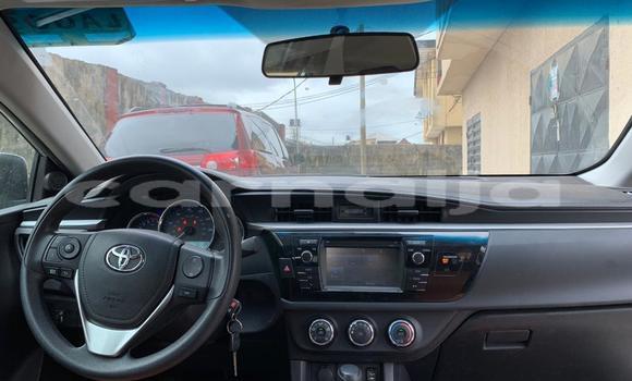 Buy Used Toyota Corolla Silver Car in Lagos in Lagos State Buy Used Toyota Corolla Silver Car in Lagos in Lagos State