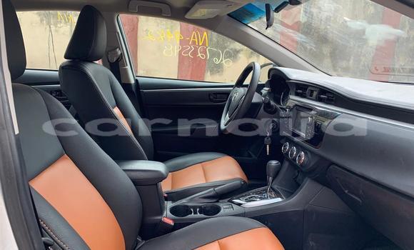 Buy Used Toyota Corolla Silver Car in Lagos in Lagos State Buy Used Toyota Corolla Silver Car in Lagos in Lagos State