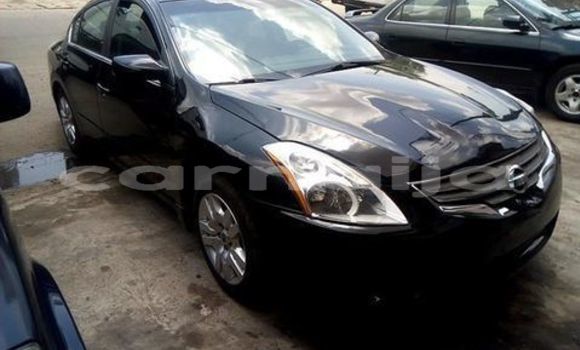 Buy Used Nissan Altima Black Car in Daura in Katsina