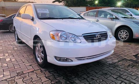 Buy Import Toyota Corolla White Car in Ikeja in Lagos State