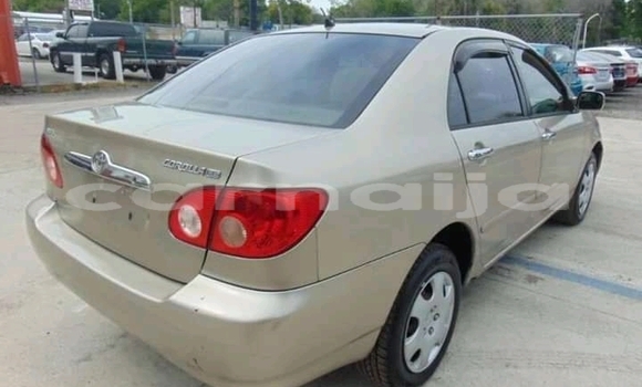 Buy Used Toyota Corolla Other Car in Birnin Kebbi in Kebbi Buy Used Toyota Corolla Other Car in Birnin Kebbi in Kebbi