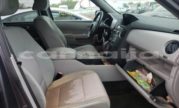 Buy Import Honda Pilot Other Car in Daura in Katsina Buy Import Honda Pilot Other Car in Daura in Katsina