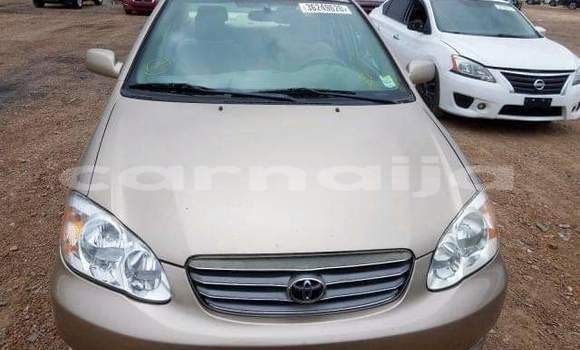 Acheter Import Voiture Toyota Corolla Autre à Daura, Katsina