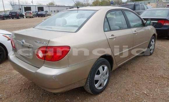 Buy Import Toyota Corolla Other Car in Daura in Katsina Buy Import Toyota Corolla Other Car in Daura in Katsina