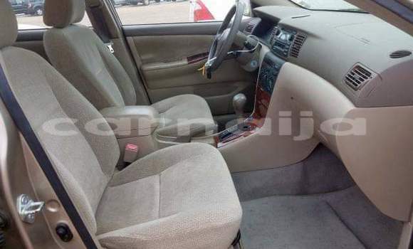 Buy Import Toyota Corolla Other Car in Daura in Katsina Buy Import Toyota Corolla Other Car in Daura in Katsina