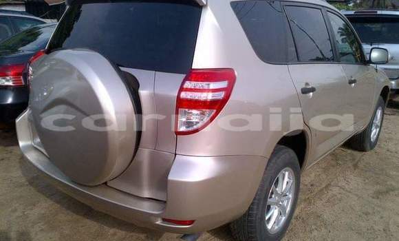 Buy Import Toyota RAV4 Other Car in Daura in Katsina Buy Import Toyota RAV4 Other Car in Daura in Katsina