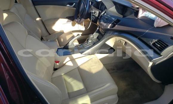 Acheter Neuf Voiture Acura TSX Rouge à Badagry, État de Lagos Acheter Neuf Voiture Acura TSX Rouge à Badagry, État de Lagos