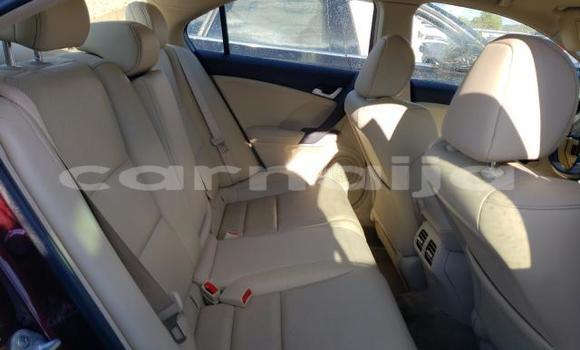 Acheter Neuf Voiture Acura TSX Rouge à Badagry, État de Lagos Acheter Neuf Voiture Acura TSX Rouge à Badagry, État de Lagos
