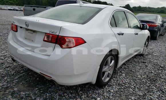 Acheter Neuf Voiture Acura TSX Blanc à Badagry, État de Lagos Acheter Neuf Voiture Acura TSX Blanc à Badagry, État de Lagos