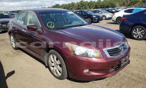 Buy New Honda Accord Red Car in Badagry in Lagos State Buy New Honda Accord Red Car in Badagry in Lagos State